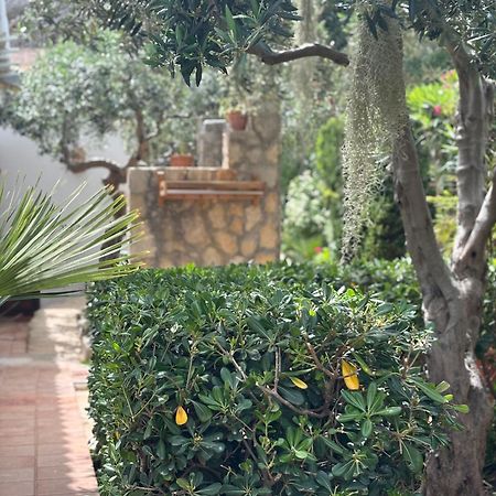 B&B Villa Alba San Vito Lo Capo Dış mekan fotoğraf