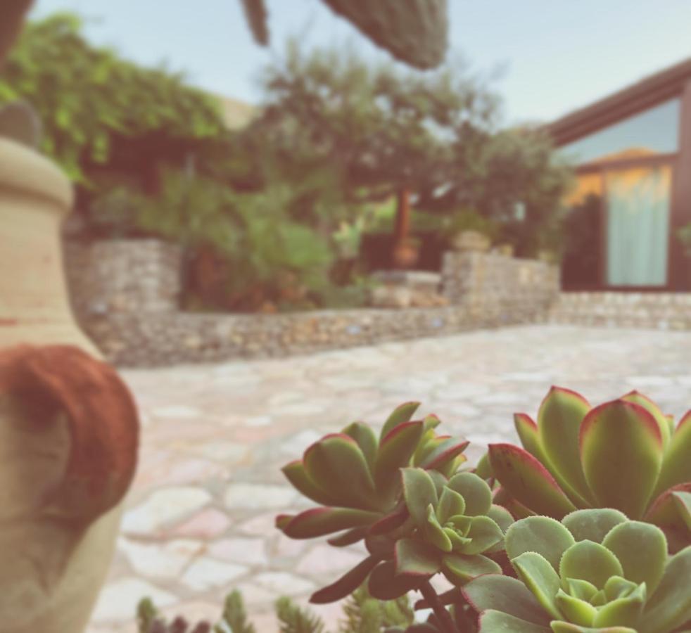 B&B Villa Alba San Vito Lo Capo Dış mekan fotoğraf