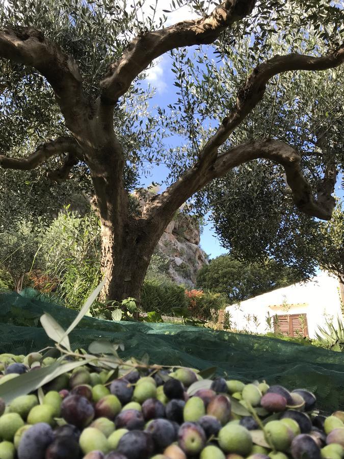 B&B Villa Alba San Vito Lo Capo Dış mekan fotoğraf